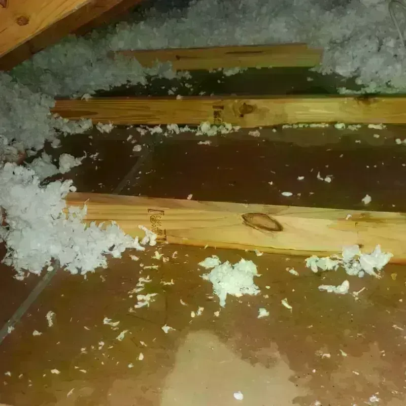 Attic Water Damage in Berkeley Heights, NJ